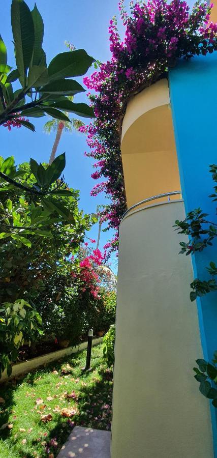 Appartement Alsol Don Palomon à Playa del Inglés Extérieur photo