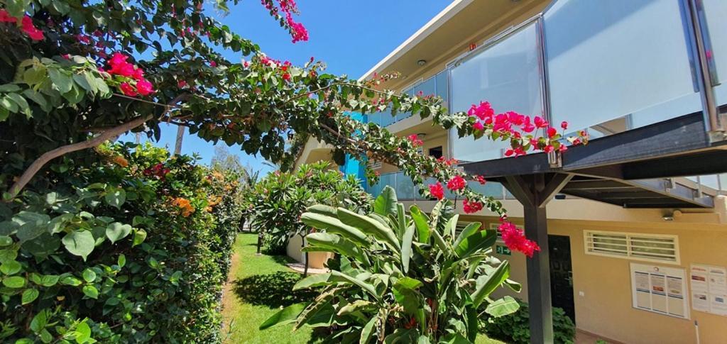 Appartement Alsol Don Palomon à Playa del Inglés Extérieur photo
