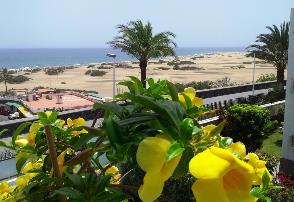 Appartement Alsol Don Palomon à Playa del Inglés Chambre photo